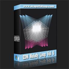 旋律素材/EDM Melody Loop Vol 6